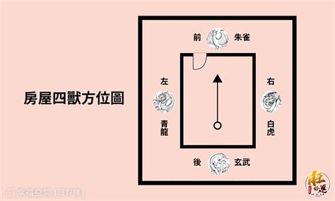 瓦斯爐在龍邊|【風水特輯】瓦斯爐放哪裡最好？有哪些禁忌？風水大。